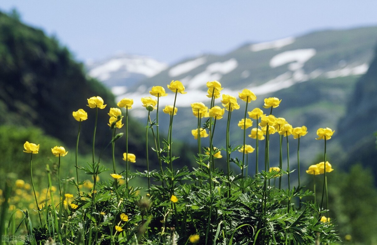 写作能赚钱！专攻故事文的我，收获了这些经验