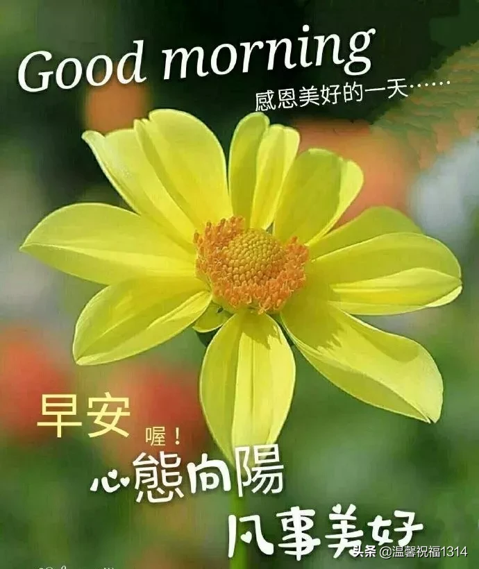 好看的早安图片带字推荐，漂亮的早上好问候语图片图片