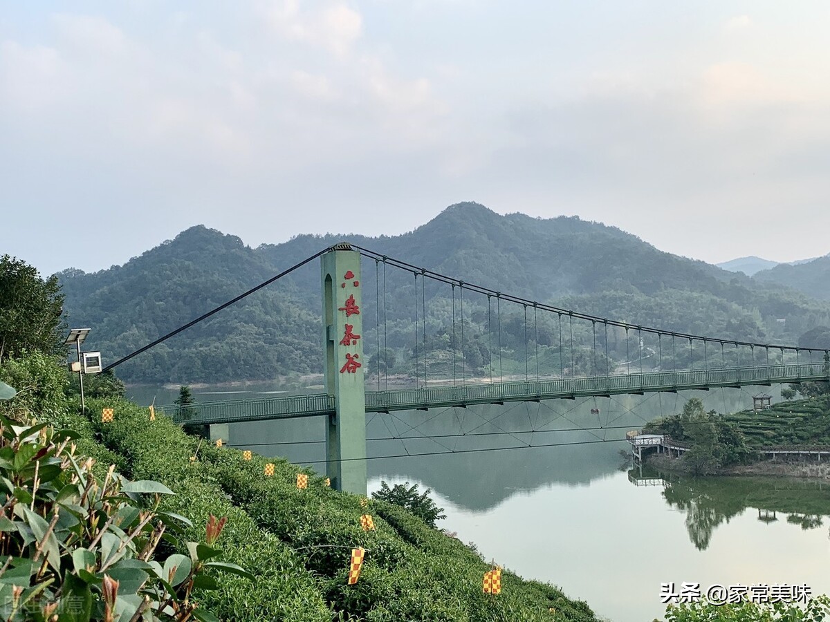 中國五大名茶是哪些？你喝過哪幾種？沒想到茶葉之間也要分個高低