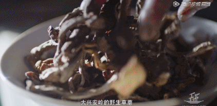 当国产9.3得罪了广东人……