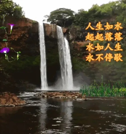 早上好祝福语图片推荐，早安图片带字带问候语图片