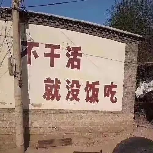 2020 10大网络流行语排行榜与词义,豪横这梗怎么没有?