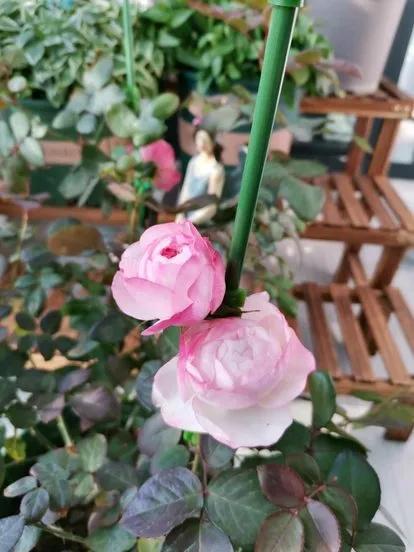 前瞻性思维，优秀文章的先行者