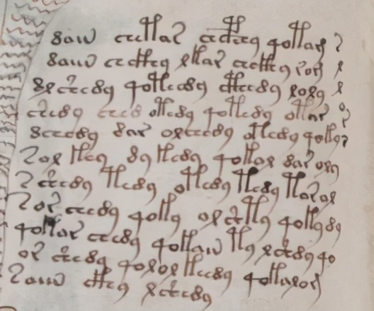 天書《伏尼契手稿》，至今無人能解，裏麵的圖太怪異了伏尼契