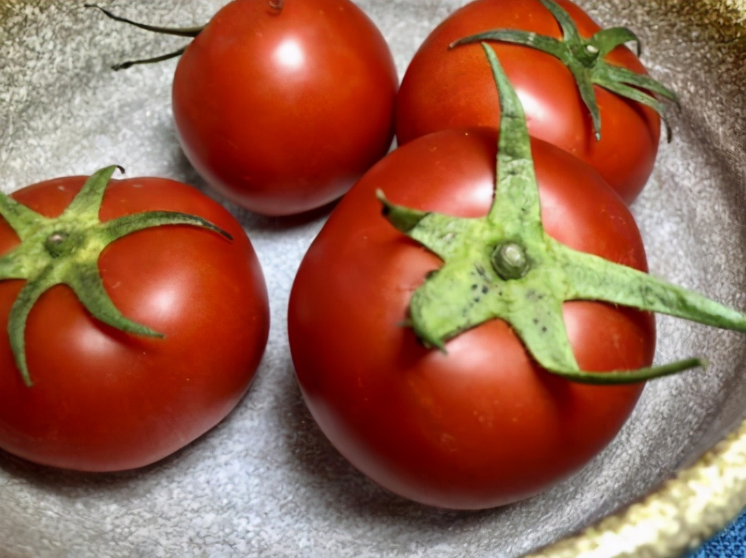 图片[6]-分辨催熟西红柿的小妙招-起舞食谱网