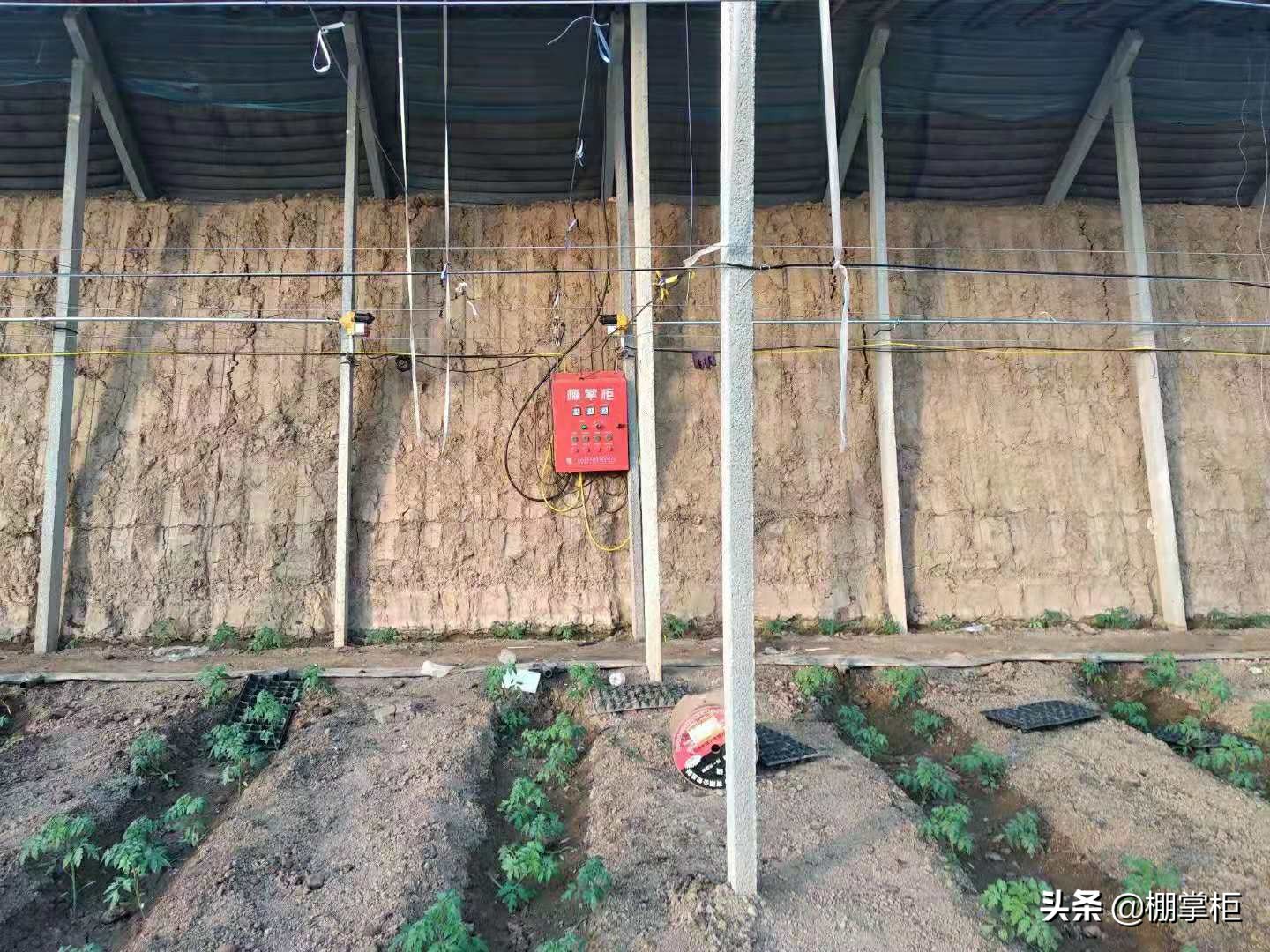 辽宁铁岭、沈阳大棚变身了？一起去看看