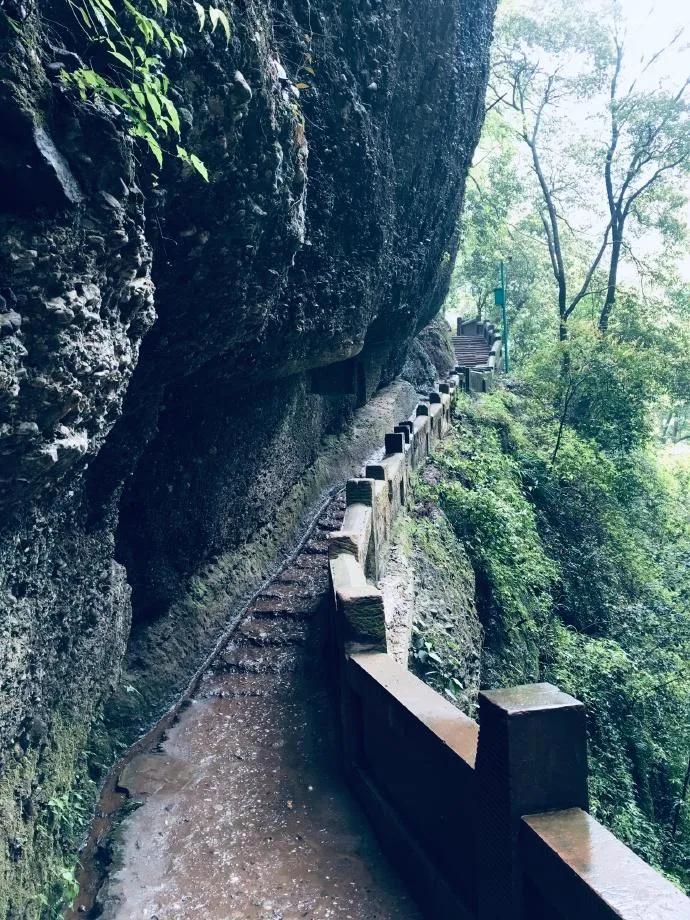 巴蜀“青城天下幽”易学问道青城山
