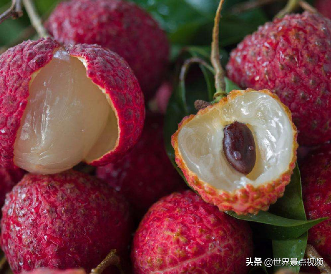 中国最好吃的荔枝在哪？这4个省份都盛产荔枝，难分上下