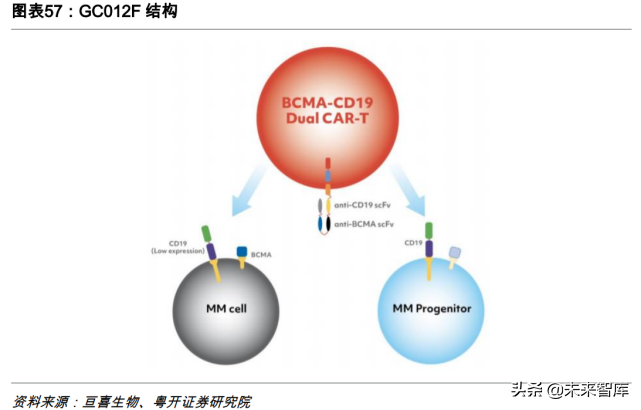 CAR-T细胞疗法专题研究：行远自迩，踔厉奋发