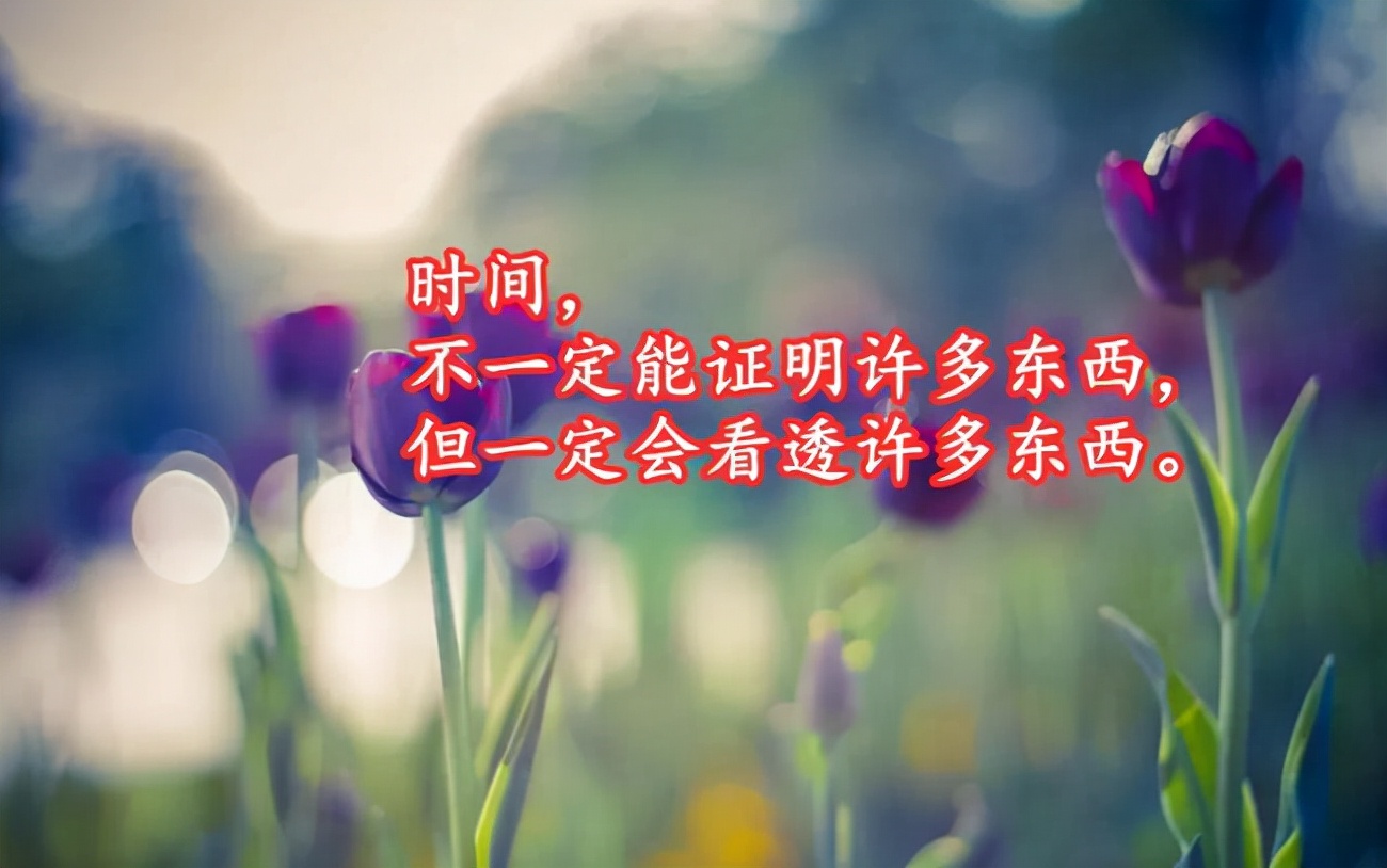 30句哲理的句子经典语录