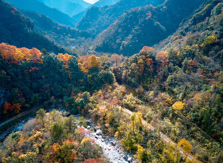 四川|媲美光雾山！平武这条沟，藏着一个惊艳的彩林秘境！