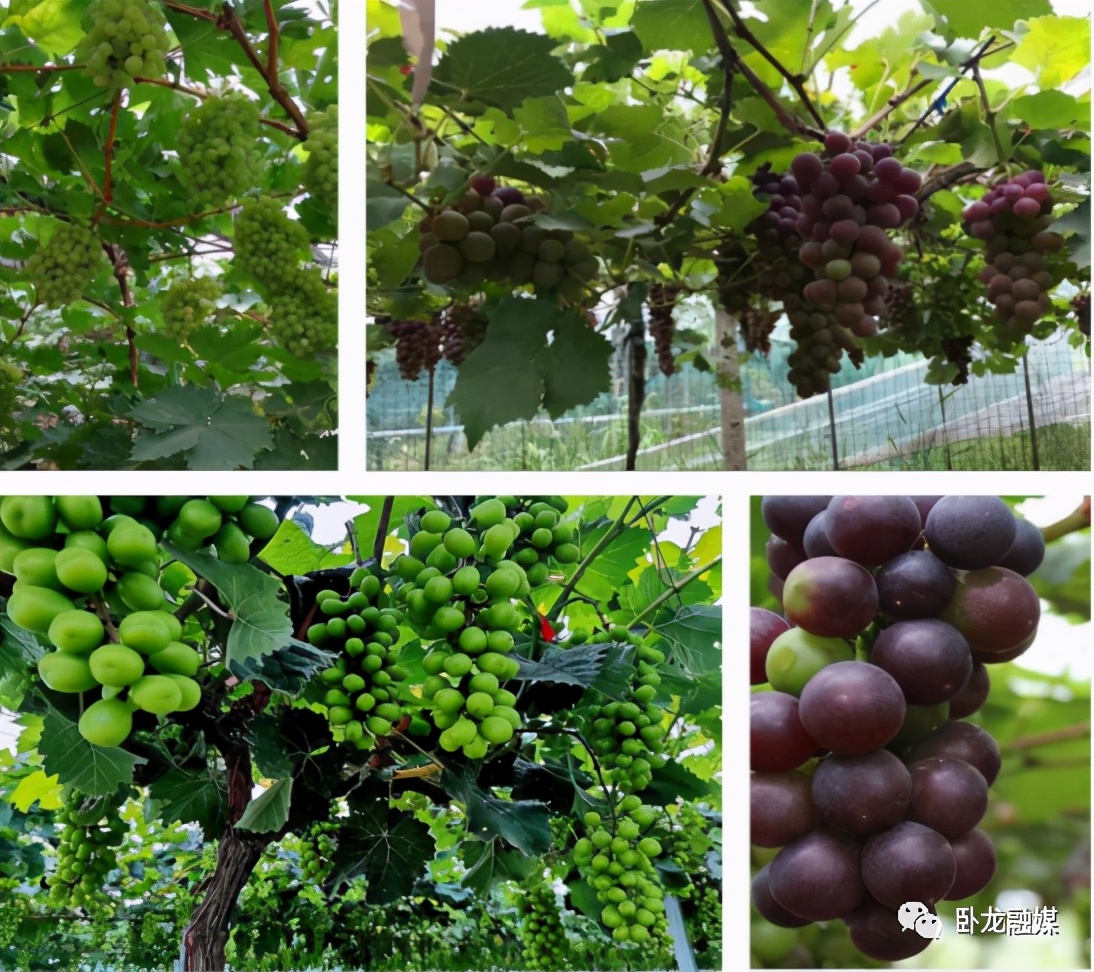 �׽����������Ļ����ν����湥�ԡ�½Ӫ��