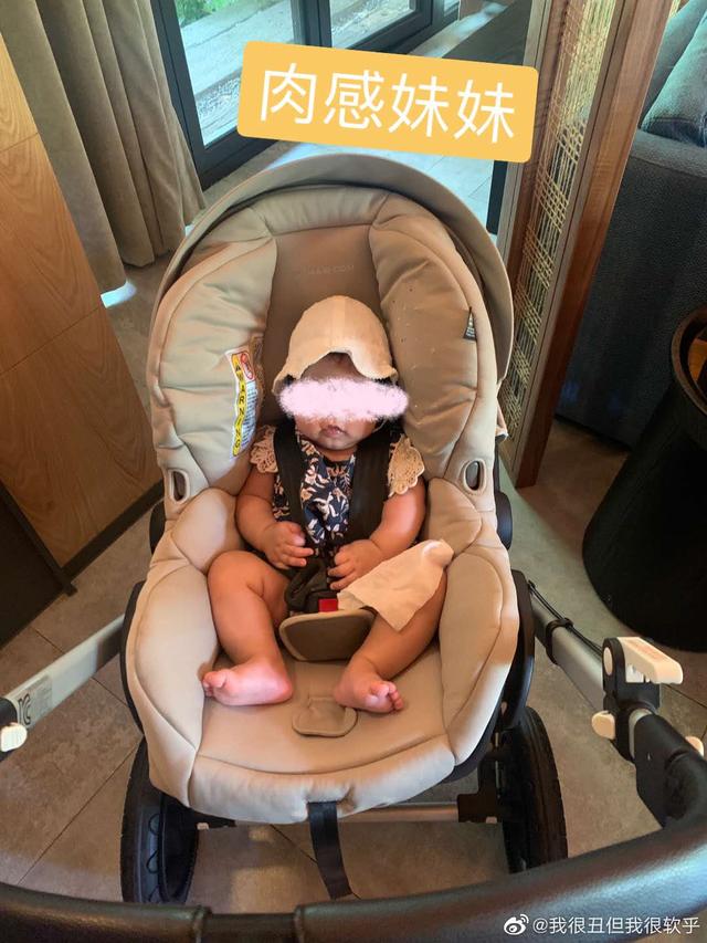 张子萱带俩女儿踏青，肉感妹妹腿胖乎乎可爱，安安草地抓虫开心