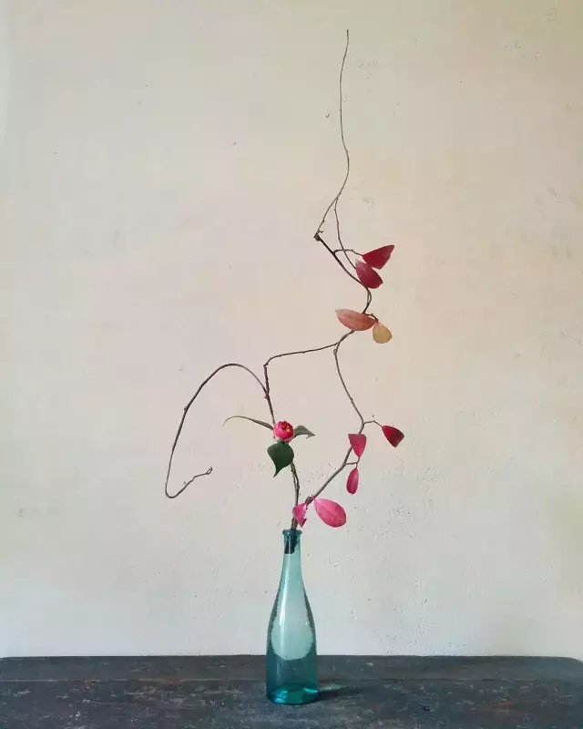 插花作品-四季更替看花開花落