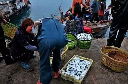 另一个角度看海南！重磅经济政策下的海南，那