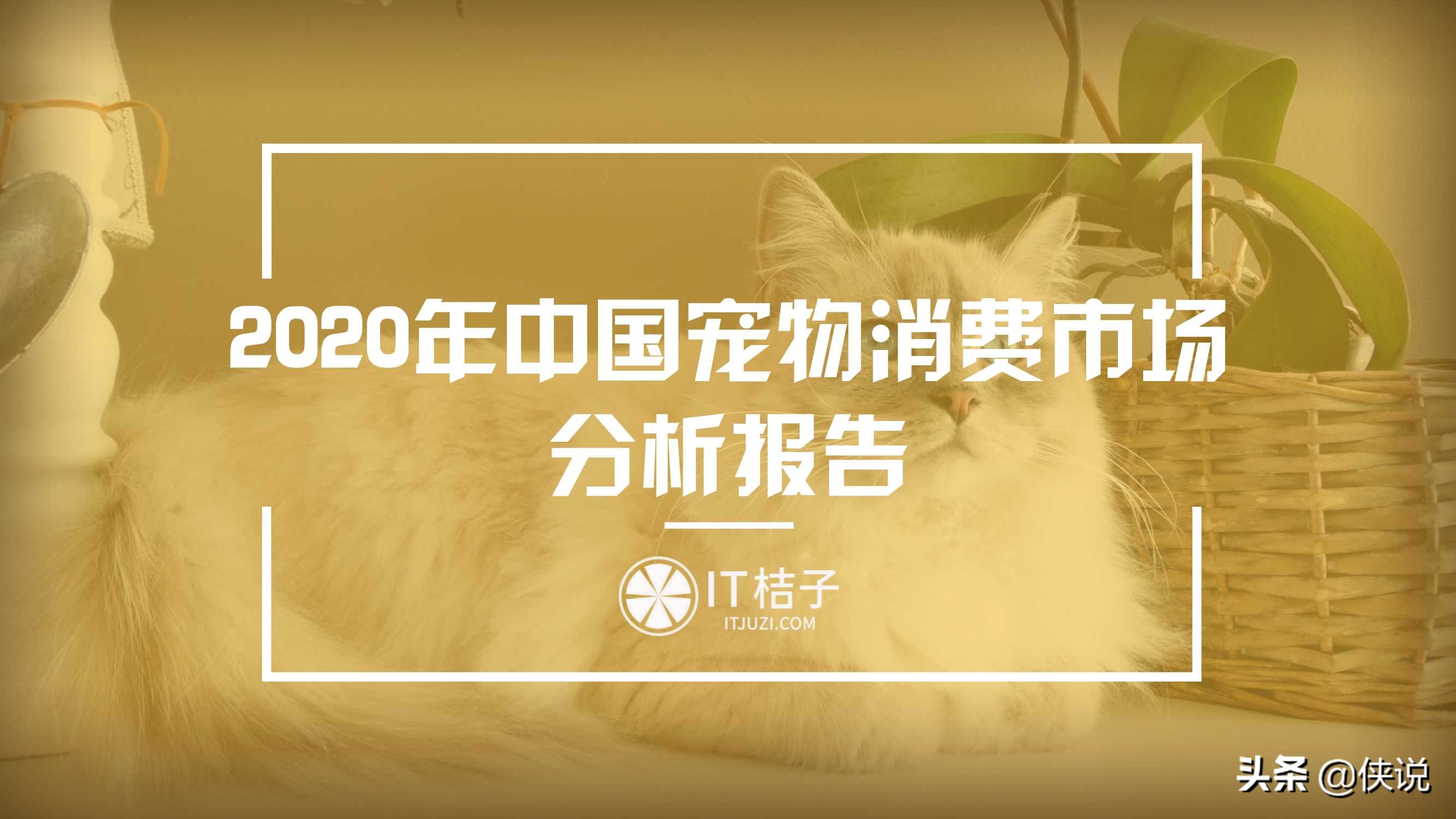 IT桔子：2020年中国宠物消费市场分析报告