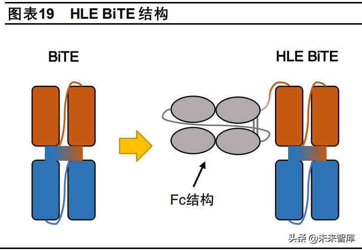 创新药行业深度报告：双抗，下一代抗体药物