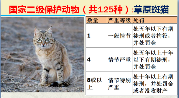 国家最新125类二级野生保护名录，图片及违法对应刑责