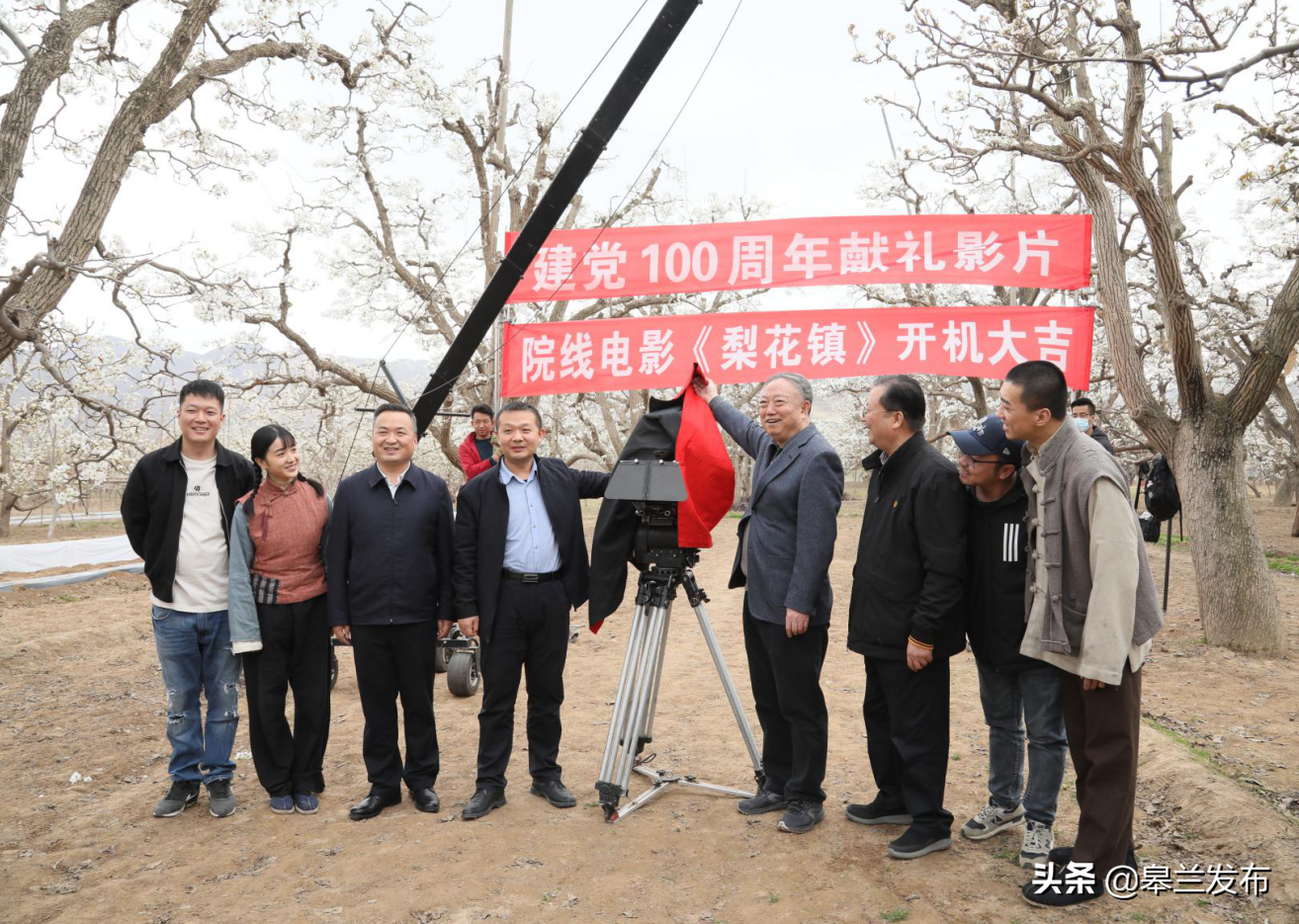 ����100��������ӰƬ���滨����ʲ������԰����