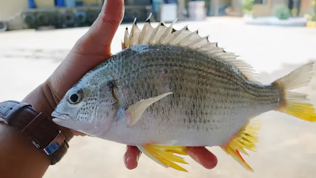 血管“通暢無阻”，不妨經常吃這3種食物，促進血液循環提高代謝