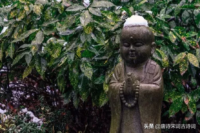 风雪夜归人,十首诗词写尽冬天的美!-第5张图片-非凡网 风雪夜归人,十首诗词写尽冬天的美!-第5张图片-非凡网