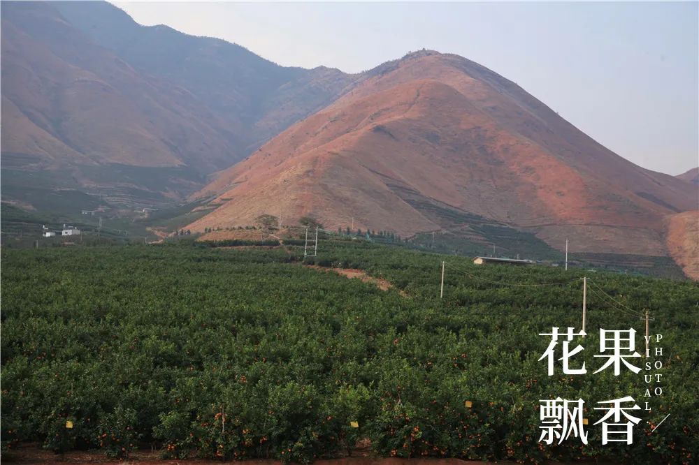一位浙江老板的农业投资理念：如果挣不到钱，都是白搭