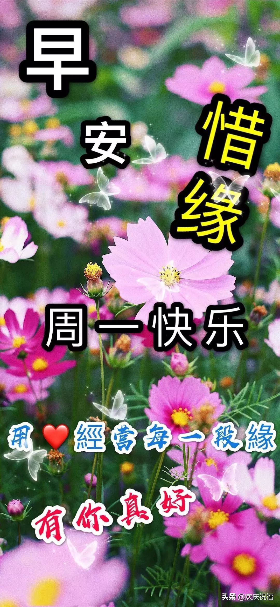 新的一周早上好问候语图片表情大全 早上好祝福表情大图图片