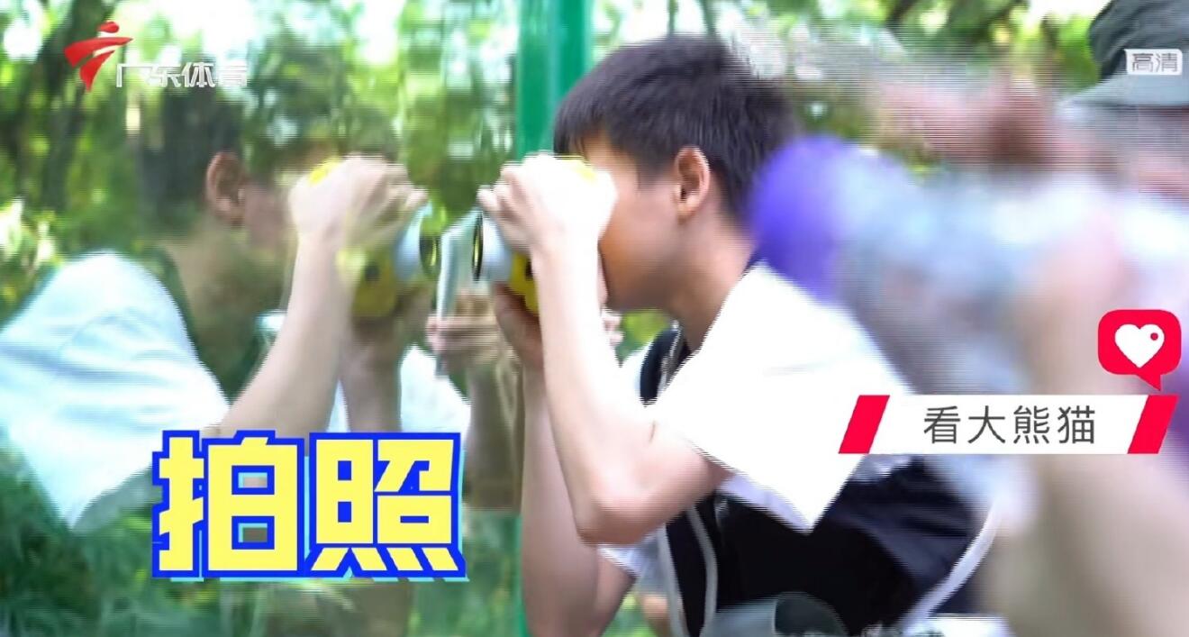 全红婵游玩细节曝光！看老虎跳水+给熊猫拍照，网友：小奶音真甜