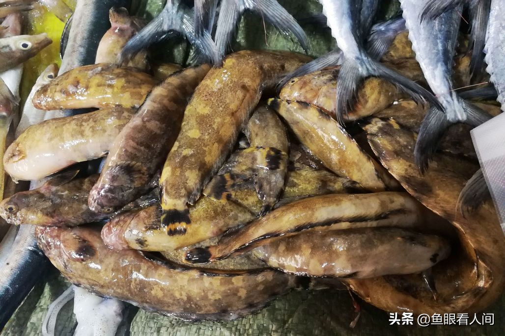 海鲜到市场涨价两成多，4元一斤带鱼到7元，开渔后梭子蟹价稳