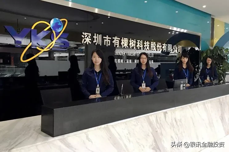 有颗树跨境电商，未完成对赌，需补偿母公司3