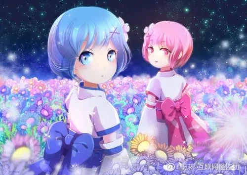 看完阿里和拼多多的财报，我不能理解的地方太