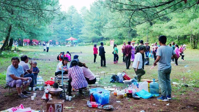 朋 友 圈 高 赞 野 餐 美 图 价 格 一 览