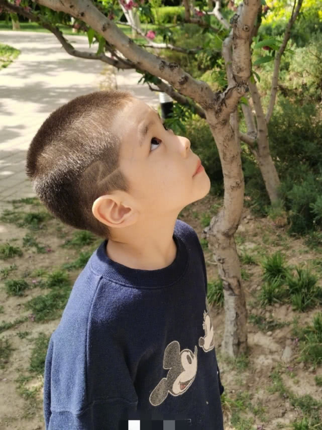 杜江久違曬兒子近照，7歲嗯哼撞臉“現男友”，被爸爸稱小李現