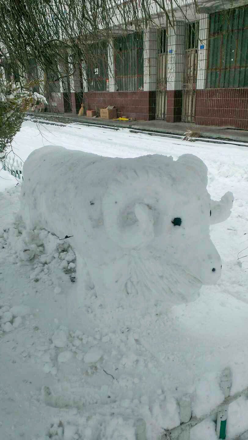 真牛新疆大叔凭想象堆出逼真雪牛没学过全靠凭空想象