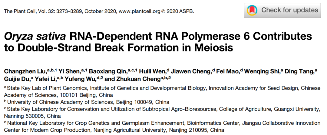项目文章PC：水稻 RDR6 在减数分裂DNA双链断裂形成中的作用机制