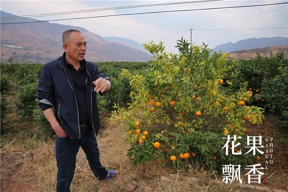 一位浙江老板的农业投资理念：如果挣不到钱，都是白搭