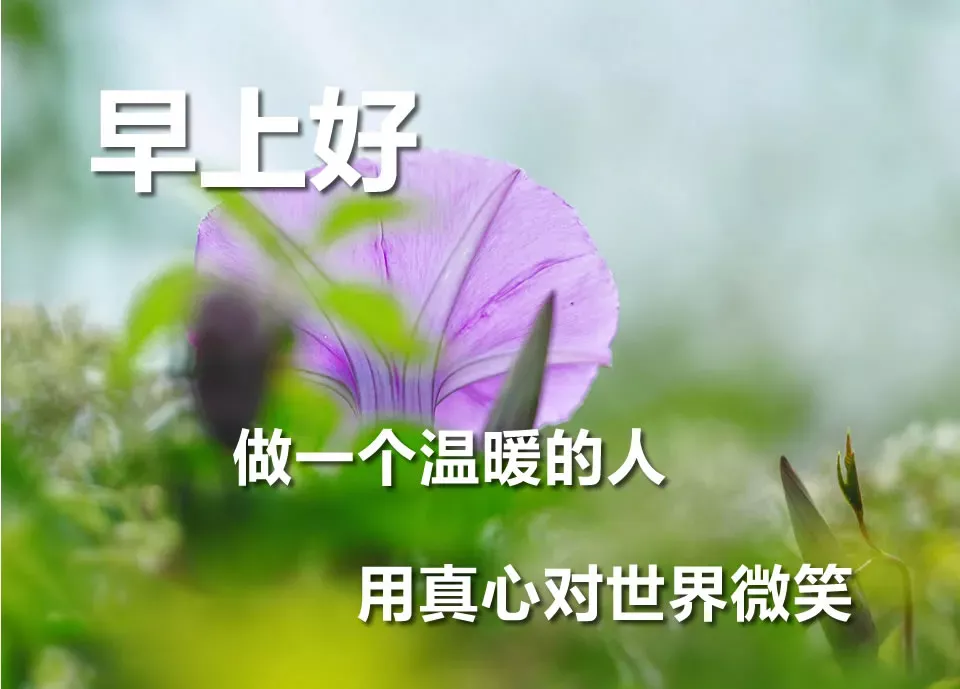 早上好问候语动态表情图文字，微信新的漂亮祝福语图片图片