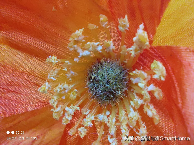 是手机也是“掌上影院”小米10S上手体验