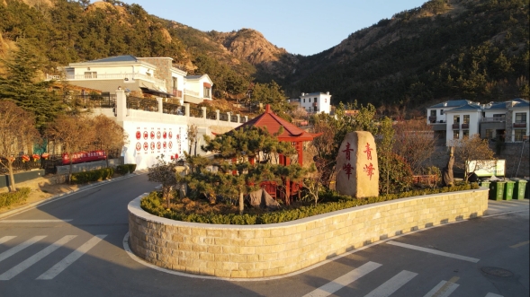 山东青岛：聚力绘就多彩乡村振兴画卷