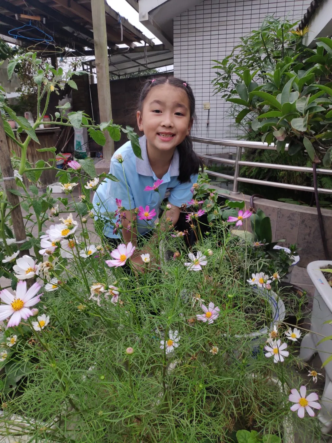 成都高新区中和小学开展“种植劳动”主题课程