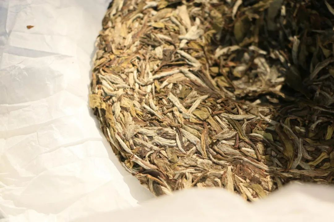 茶葉過了保質期還能喝嗎？六大茶類的保質期各是多久？