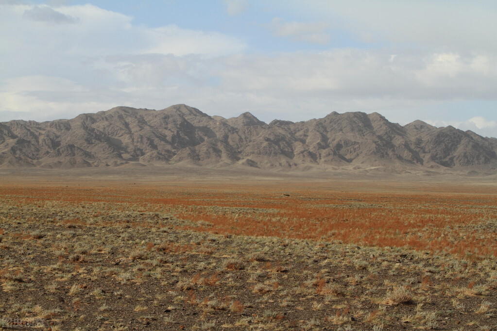 蒙古国治沙情况很糟糕，10年内最强沙尘暴就源于此处