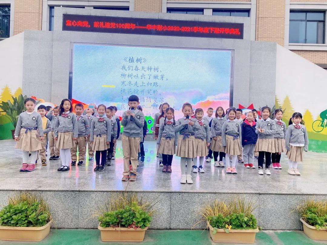 手栽绿色，静待绿荫——华阳中学附属小学国旗下的表演之植树节