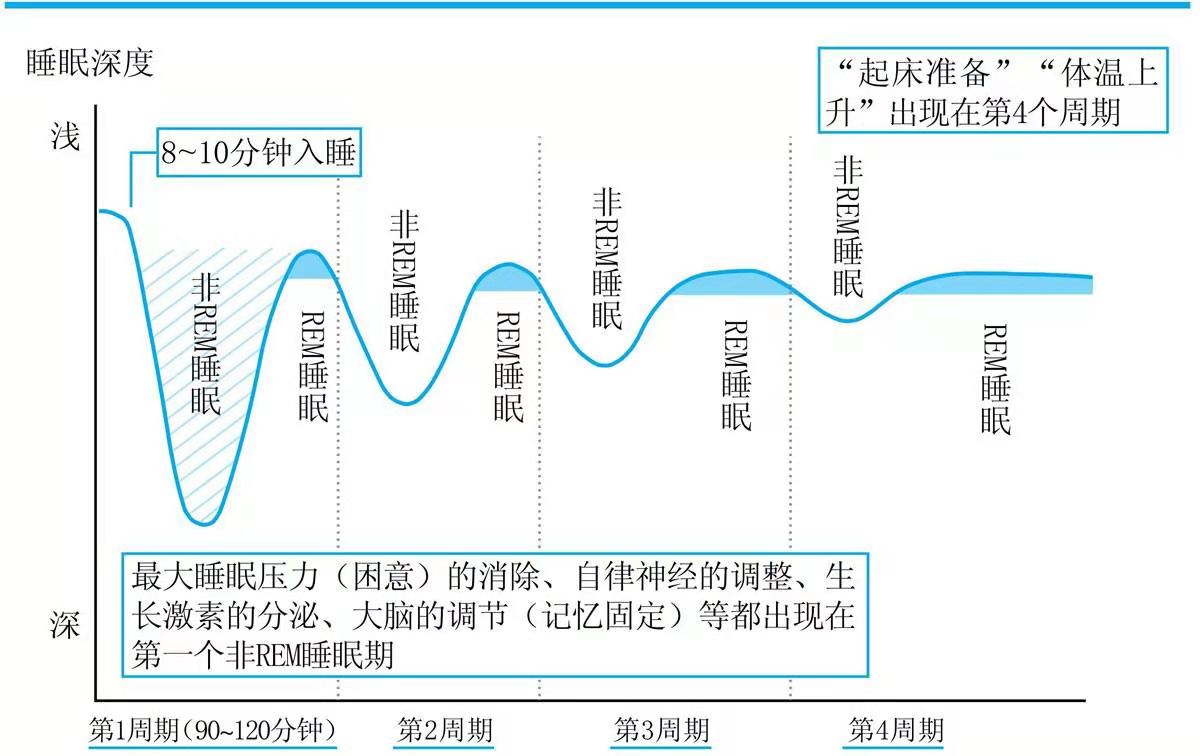 真正的精英，都是会睡觉的人。高效能人士的睡眠法则分享