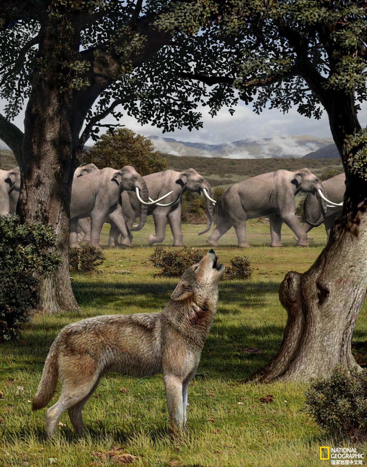 古生物科普神秘的恐狼竟然是真实存在的