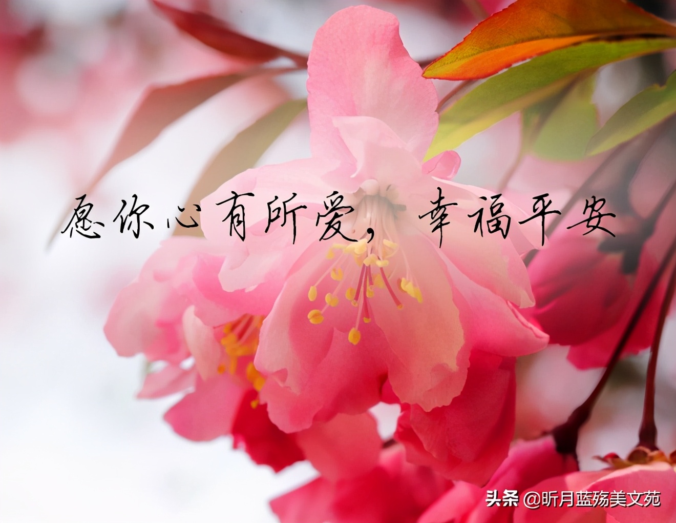 2021再见二月 你好三月说说图片