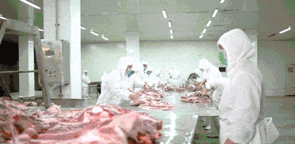 这个午餐肉，100%鲜肉制作，猪肉含量≥90%，真正