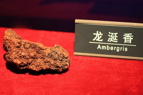龙涎的到底是什么？它真的有“催情”作用吗？看完发现它有点恶心