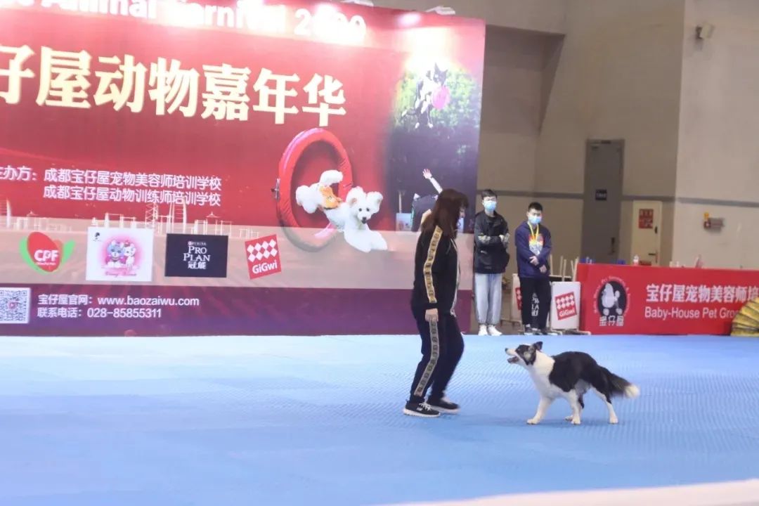 CPF西部重庆展 | 当下可为 未来可期，全力以赴只为更精彩的绽放