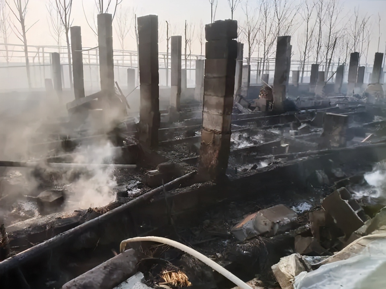 临沂一鸭棚发生火灾，火势非常凶猛